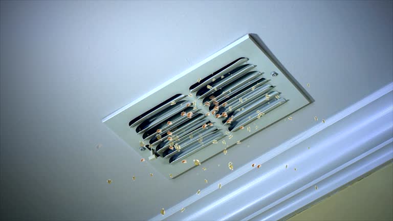 Best Air Duct Cleaning Near Me  in Johnstonville, CA
