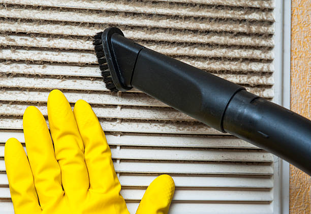 Best Air Duct Sanitizing Services  in Johnstonville, CA